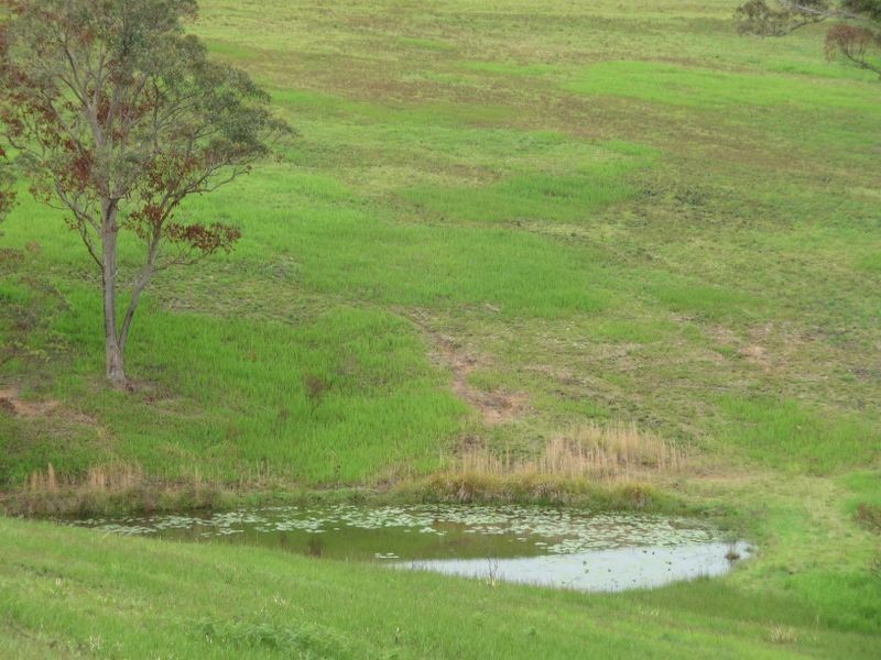Killawarra NSW 2429