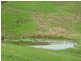 Killawarra NSW 2429