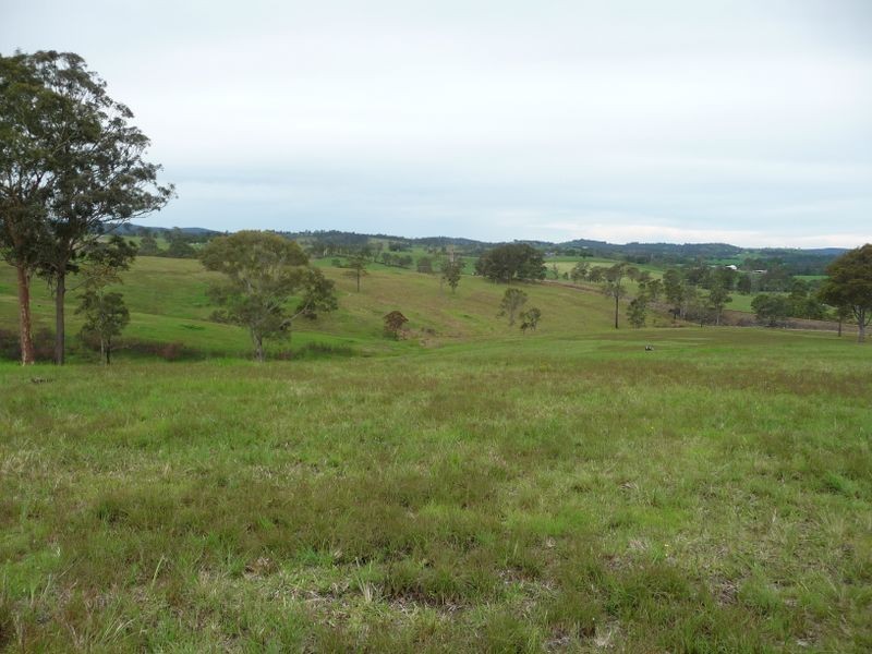 Killawarra NSW 2429