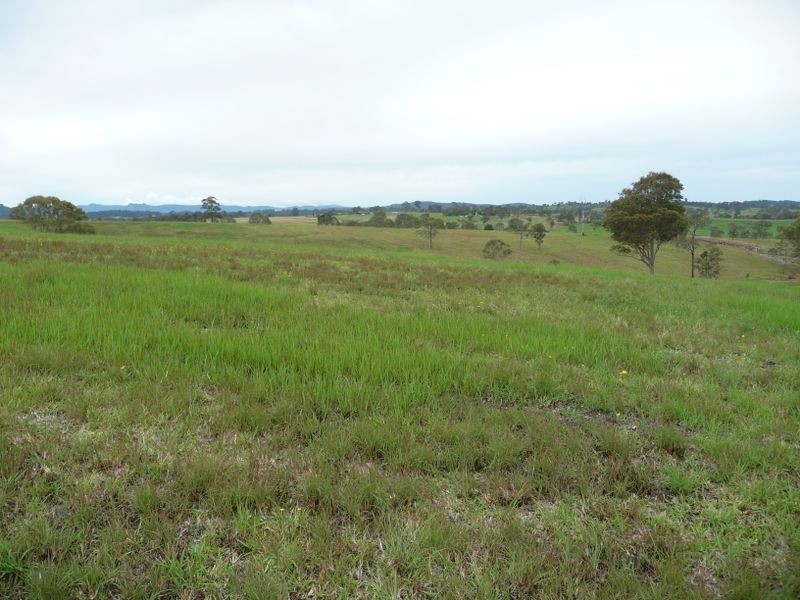 Killawarra NSW 2429