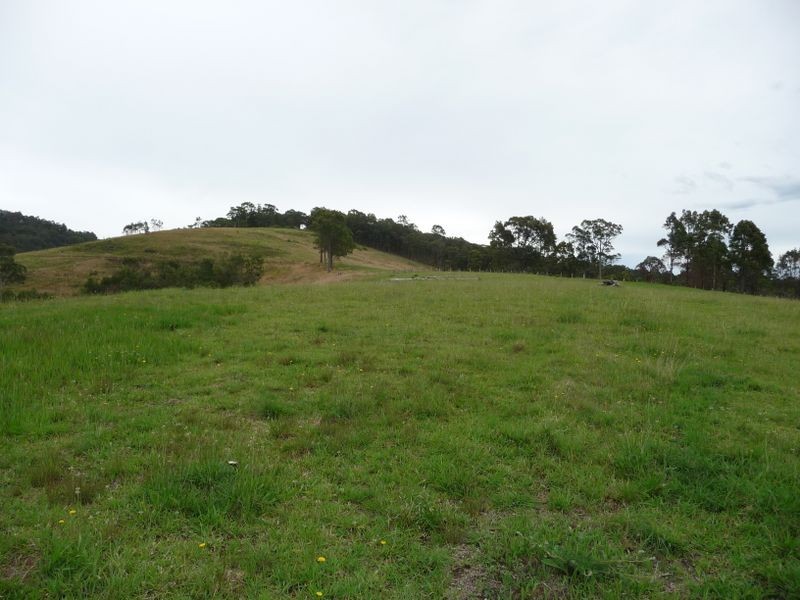 Killawarra NSW 2429