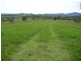 Killawarra NSW 2429