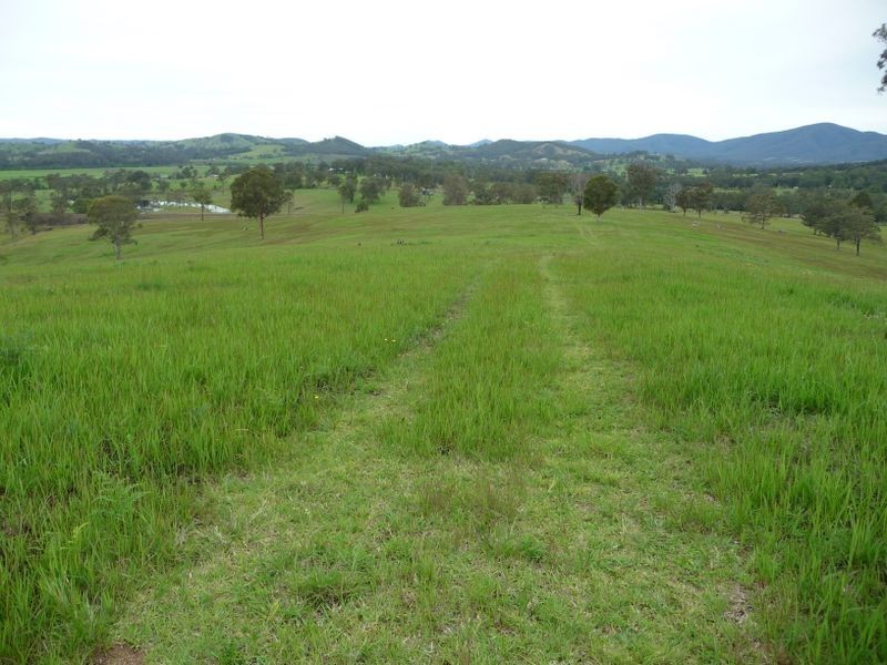 Killawarra NSW 2429
