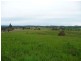 Killawarra NSW 2429