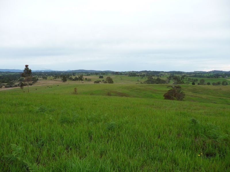 Killawarra NSW 2429