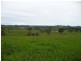 Killawarra NSW 2429