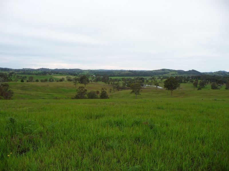 Killawarra NSW 2429