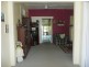 Wingham NSW 2429