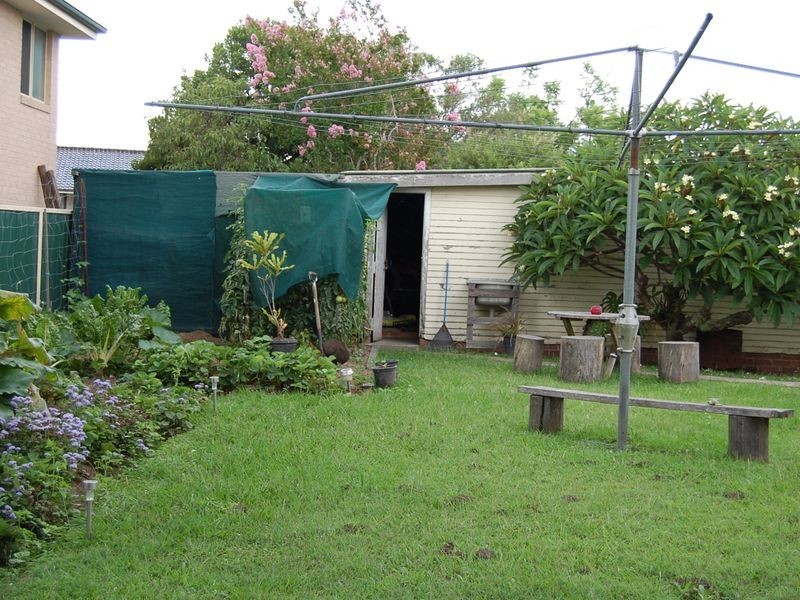 6 Canget Street, Wingham NSW 2429