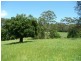 Moorland NSW 2443