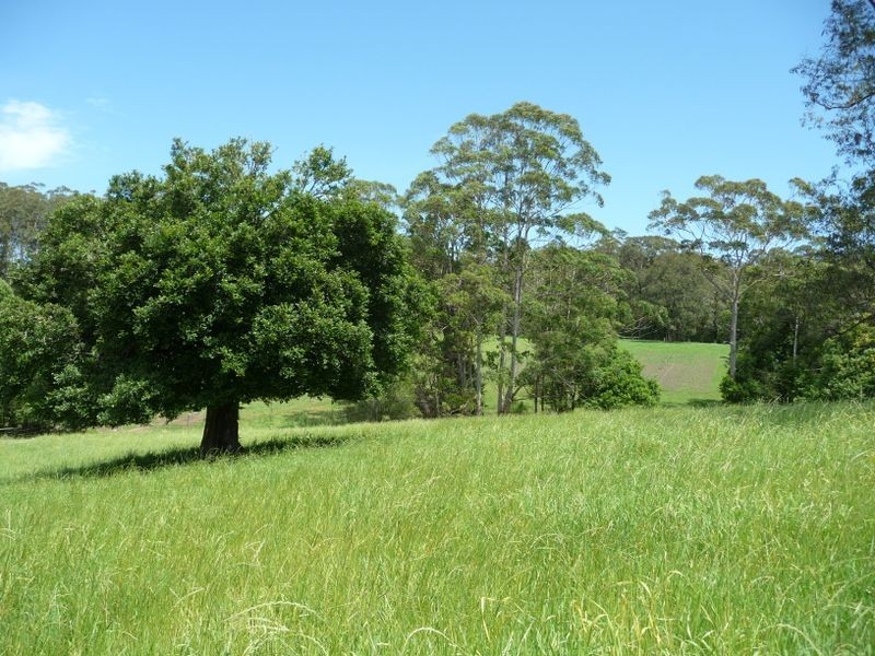 Moorland NSW 2443