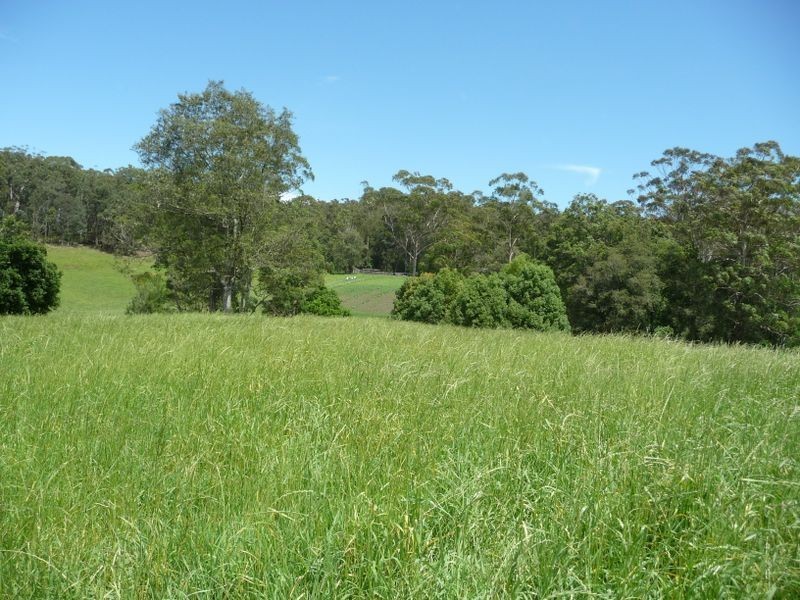 Moorland NSW 2443