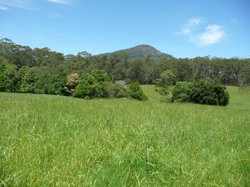 Moorland NSW 2443