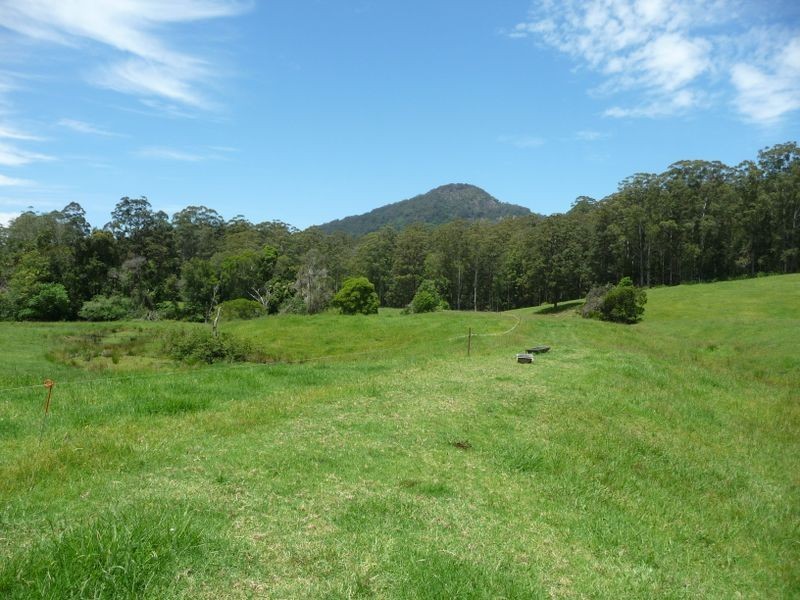 Moorland NSW 2443
