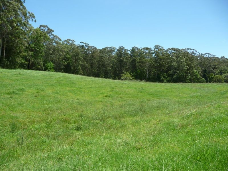 Moorland NSW 2443