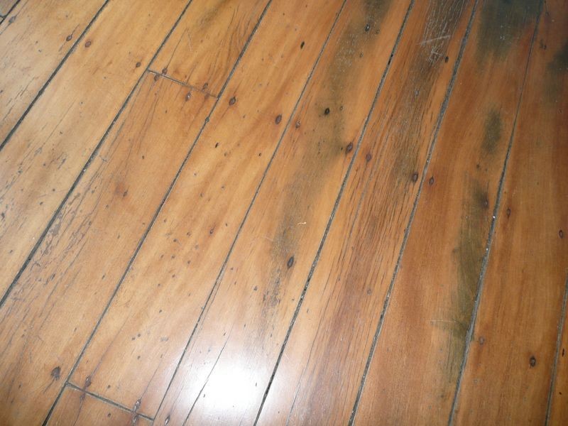 74 Bungay Road, Wingham NSW 2429