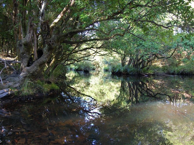 Nabiac NSW 2312