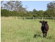 Nabiac NSW 2312