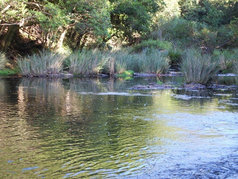 Nabiac NSW 2312
