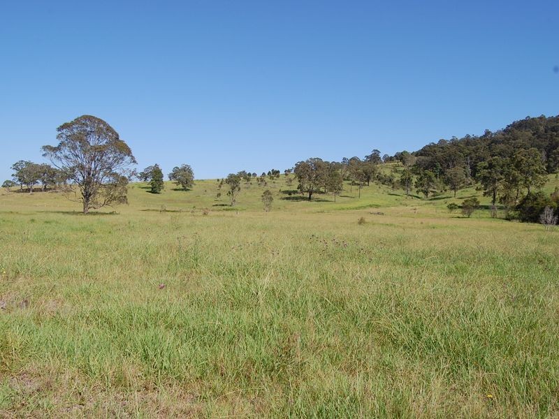 Nabiac NSW 2312