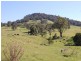 Nabiac NSW 2312
