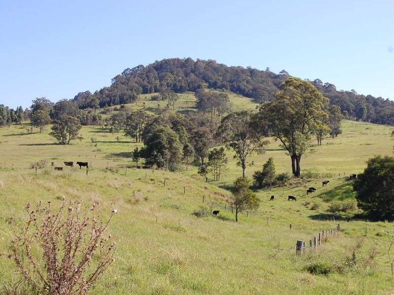 Nabiac NSW 2312