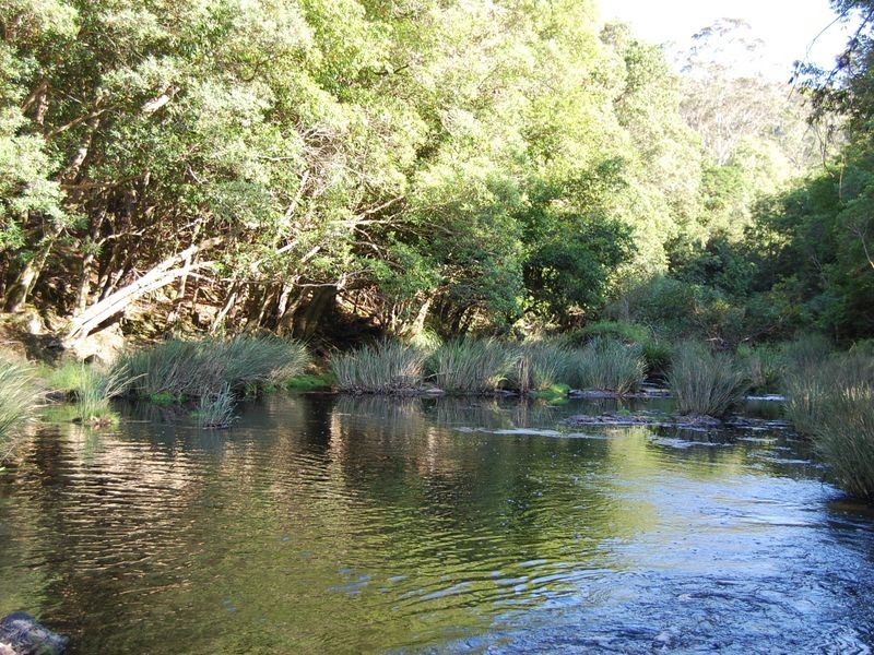 Nabiac NSW 2312