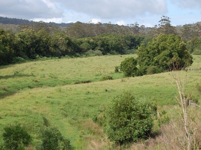 Nabiac NSW 2312