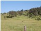 Nabiac NSW 2312