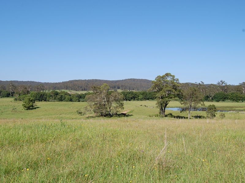 Nabiac NSW 2312
