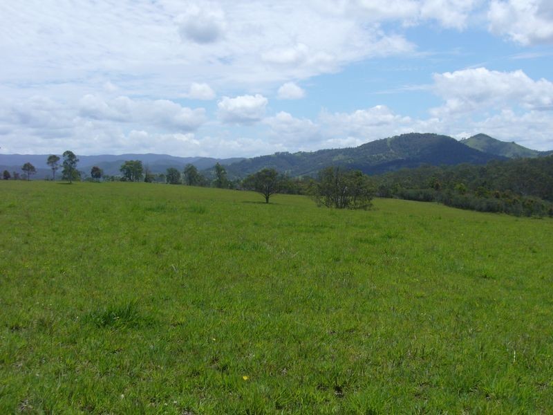 Wherrol Flat NSW 2429