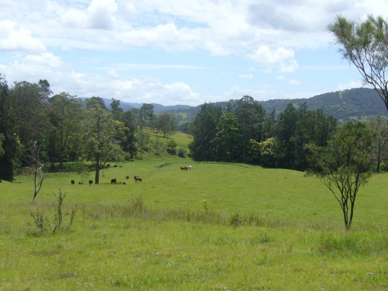 Wherrol Flat NSW 2429