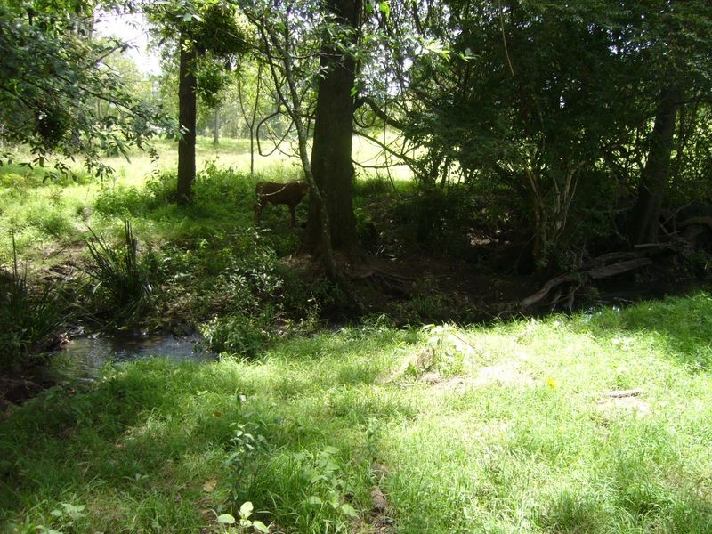 Wherrol Flat NSW 2429