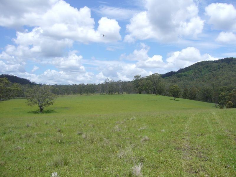 Wherrol Flat NSW 2429