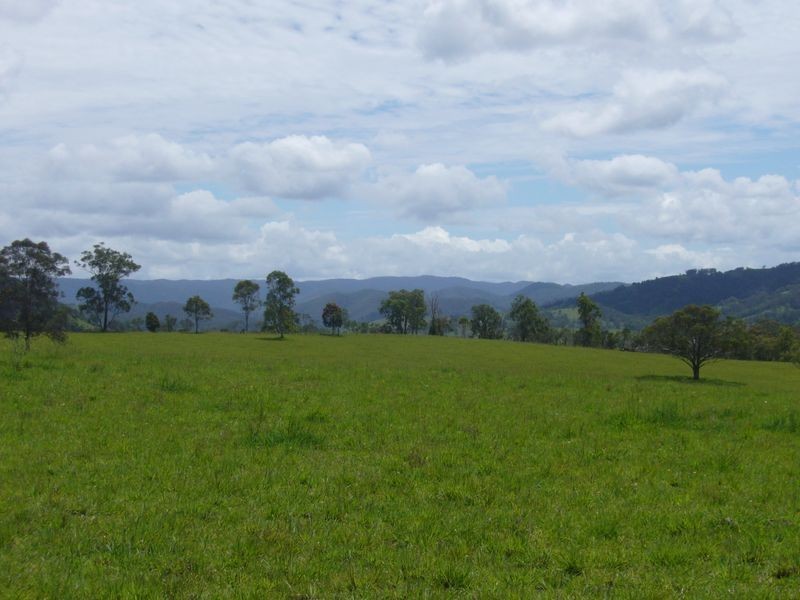 Wherrol Flat NSW 2429