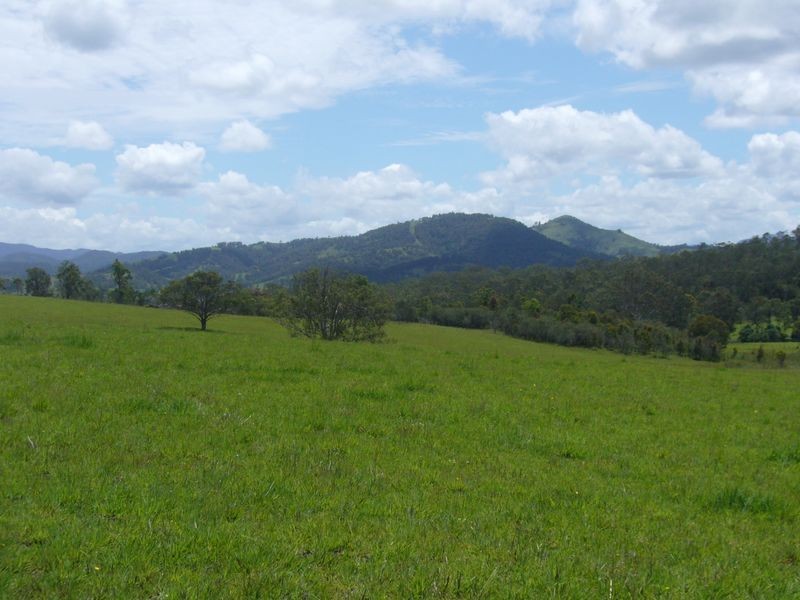 Wherrol Flat NSW 2429