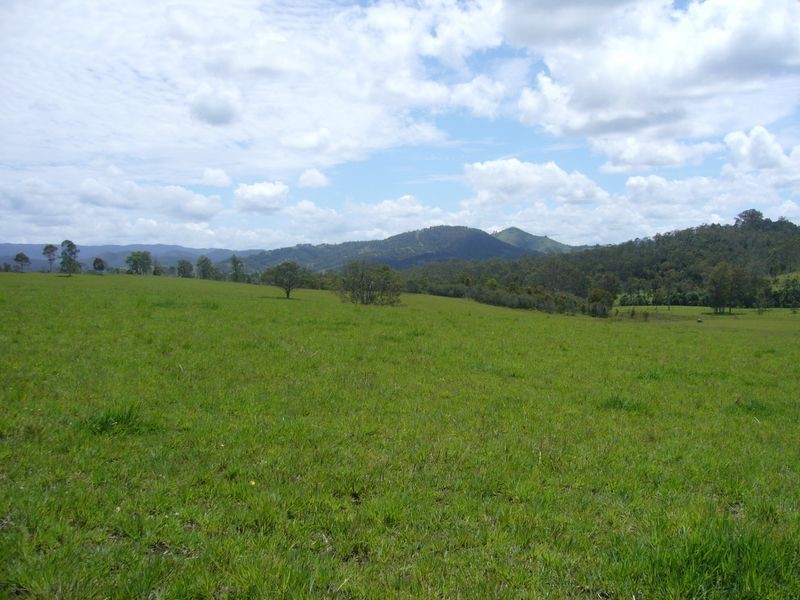 Wherrol Flat NSW 2429