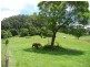 Hannam Vale NSW 2443
