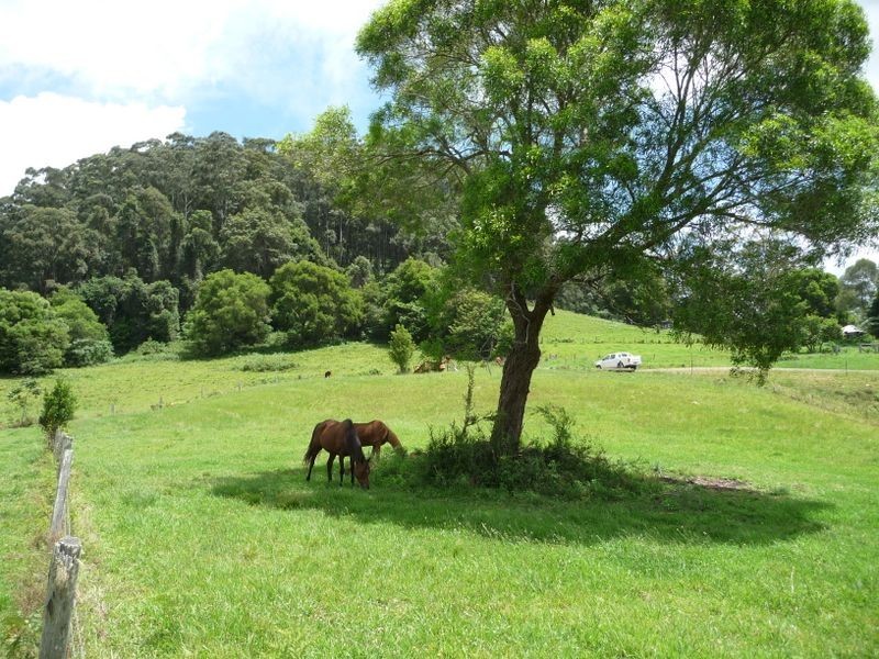 Hannam Vale NSW 2443