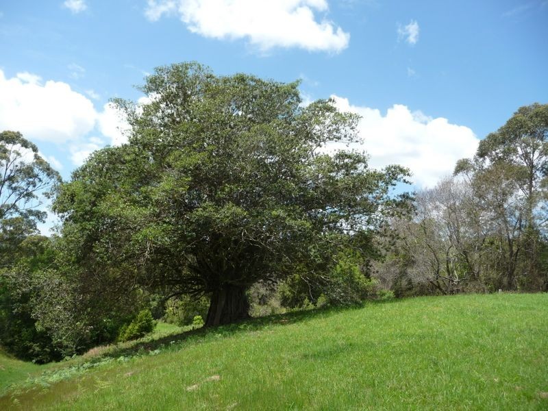 Hannam Vale NSW 2443