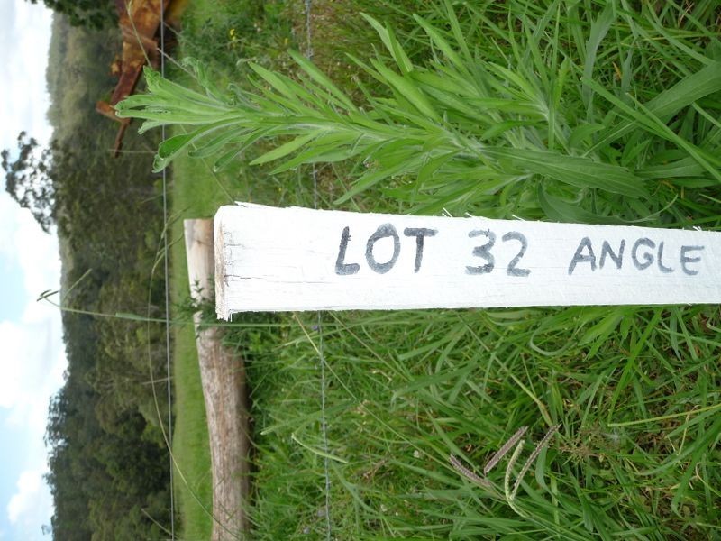 Hannam Vale NSW 2443