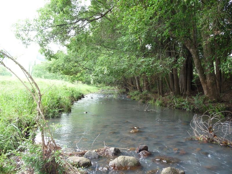 112 Mount Pleasant Road, Wherrol Flat NSW 2429