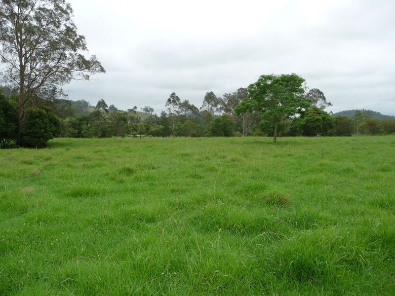 112 Mount Pleasant Road, Wherrol Flat NSW 2429