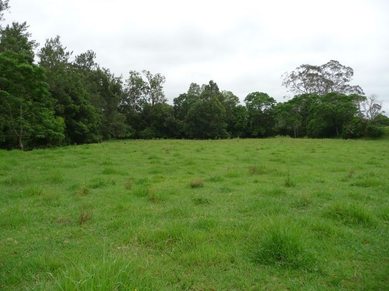 112 Mount Pleasant Road, Wherrol Flat NSW 2429