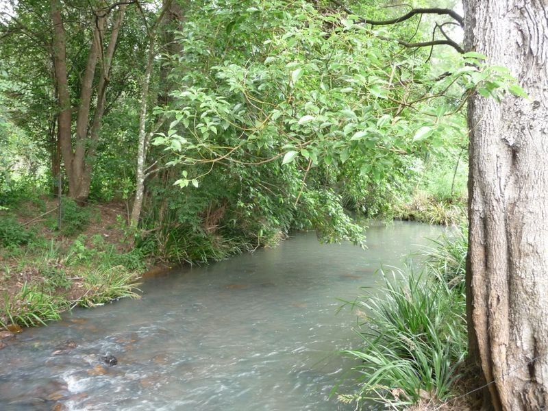 112 Mount Pleasant Road, Wherrol Flat NSW 2429