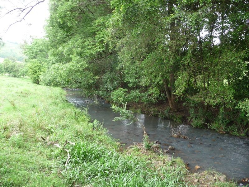 112 Mount Pleasant Road, Wherrol Flat NSW 2429