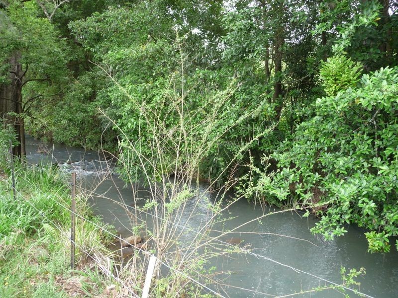 112 Mount Pleasant Road, Wherrol Flat NSW 2429