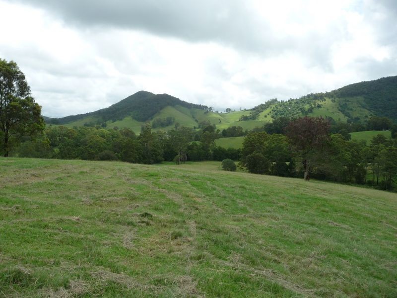 Strathcedar NSW 2429