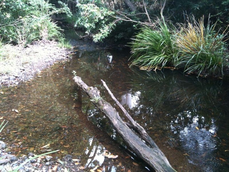 Strathcedar NSW 2429