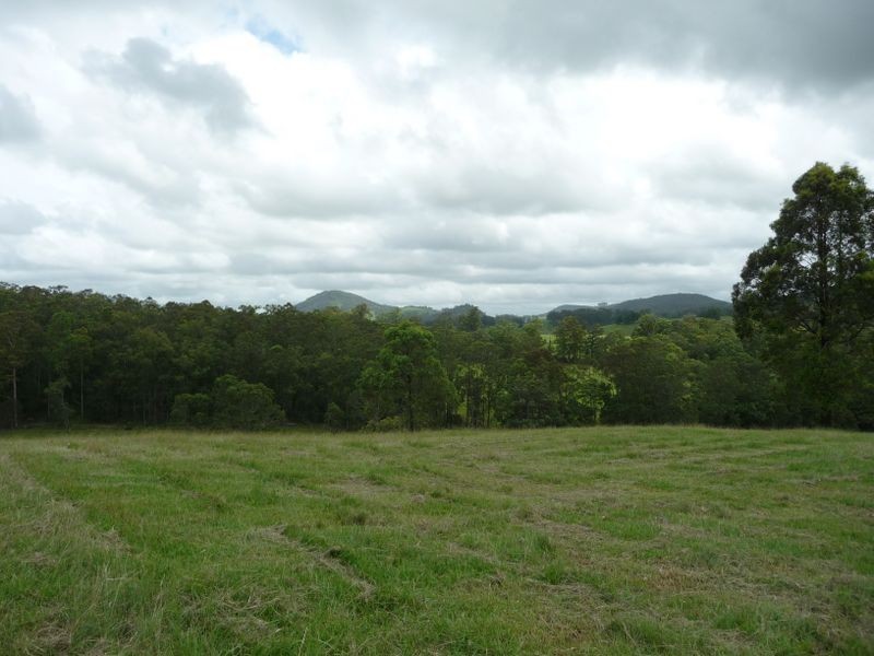 Strathcedar NSW 2429